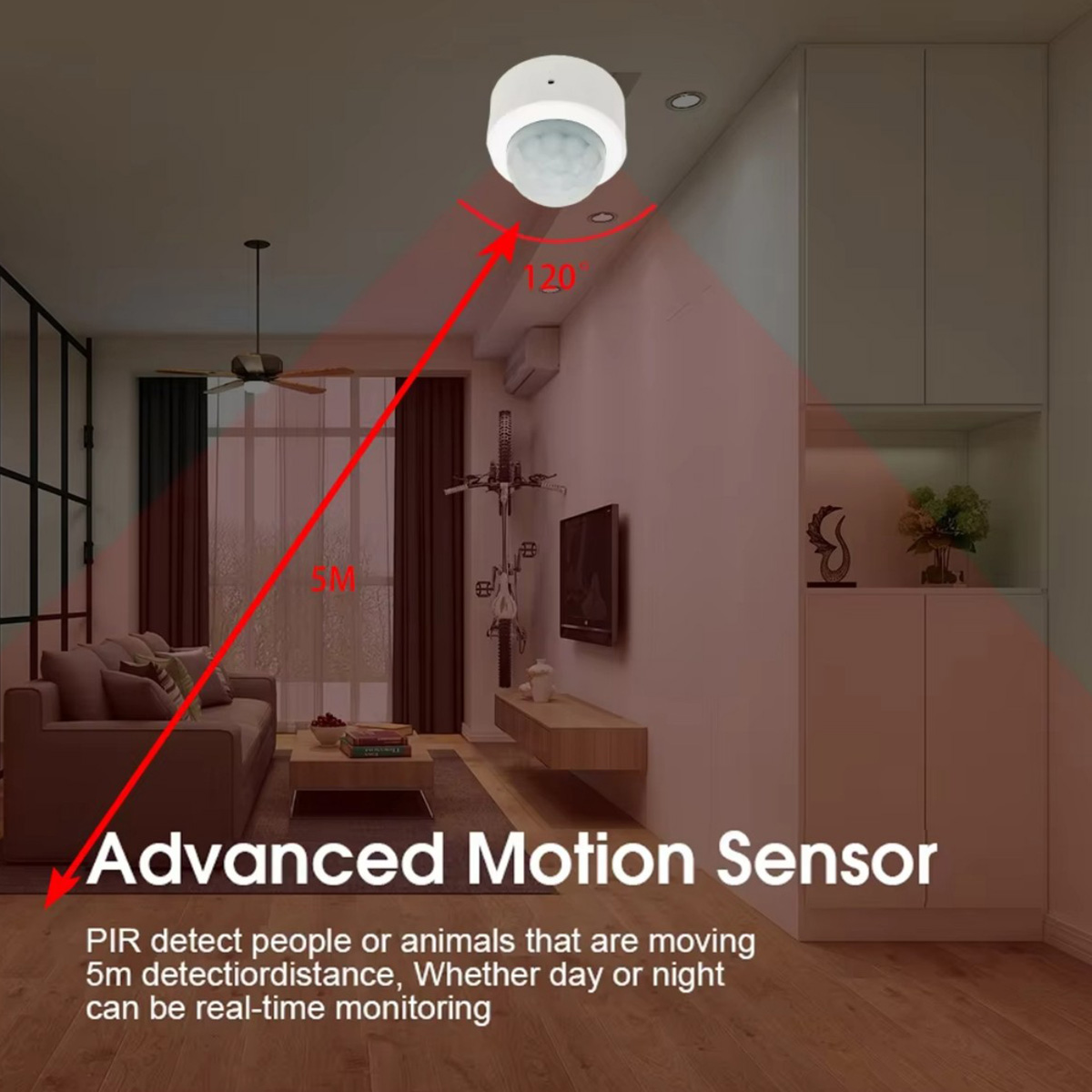 Zigbee PIR Motion Sensor Human - Pir Motion Sensor 评论和价格