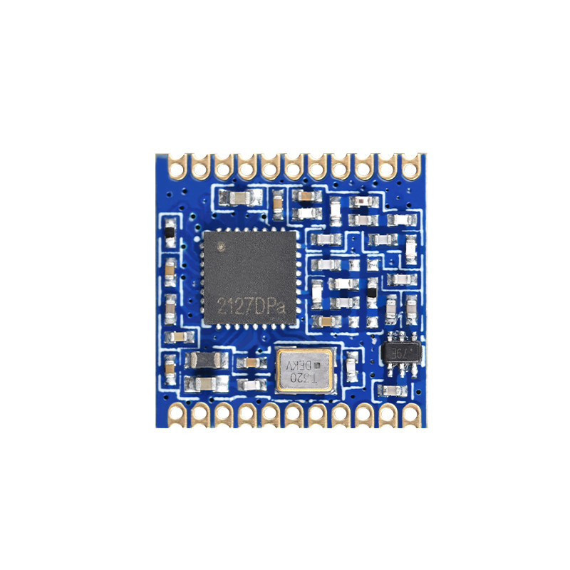 PAN3031 LoRa Wireless Radio Re - Lora Sx1278 评论和价格